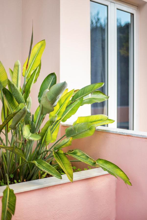 Aphrodite Studios & Apartment Bali  エクステリア 写真