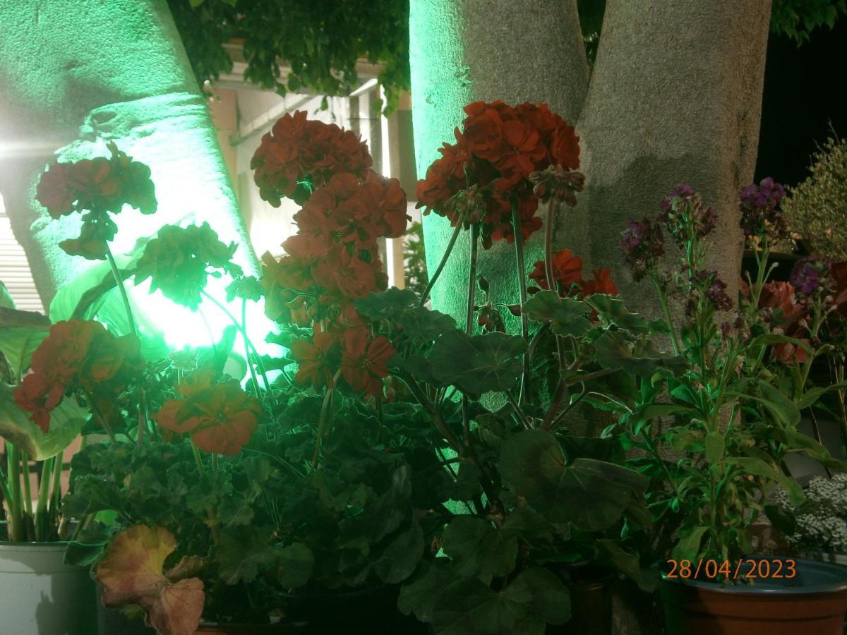 Aphrodite Studios & Apartment Bali  エクステリア 写真